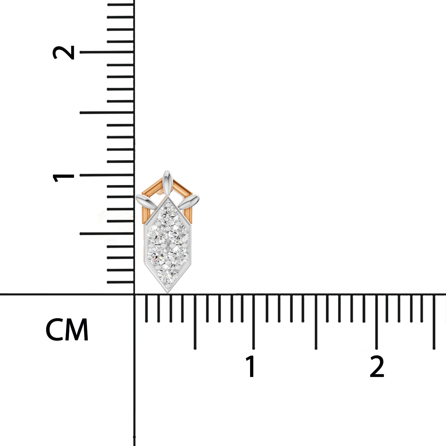 0.3 Carat Earrings for Women | 14K Rose Gold